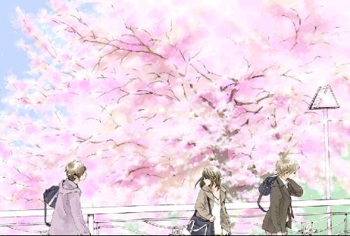 猫咪在线免费观看